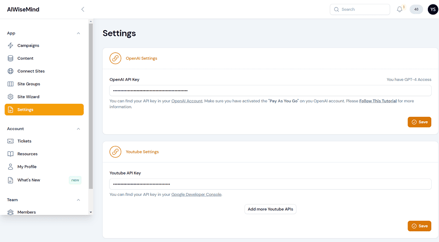 aiwisemind AI settings